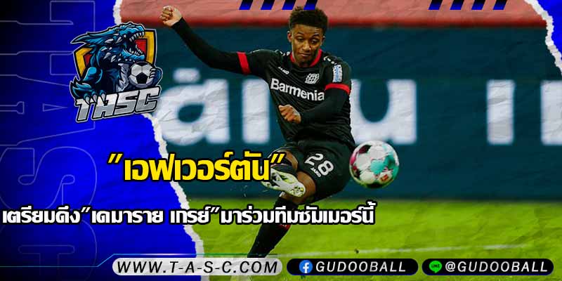 ข่าวบอล