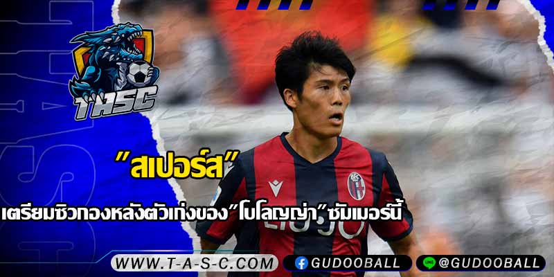 ข่าวบอล
