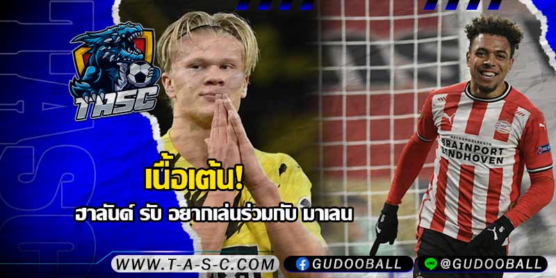 ข่าวบอล