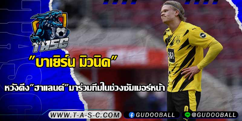 ข่าวบอล